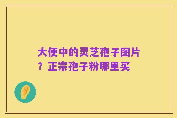 大便中的灵芝孢子图片?正宗孢子粉哪里买