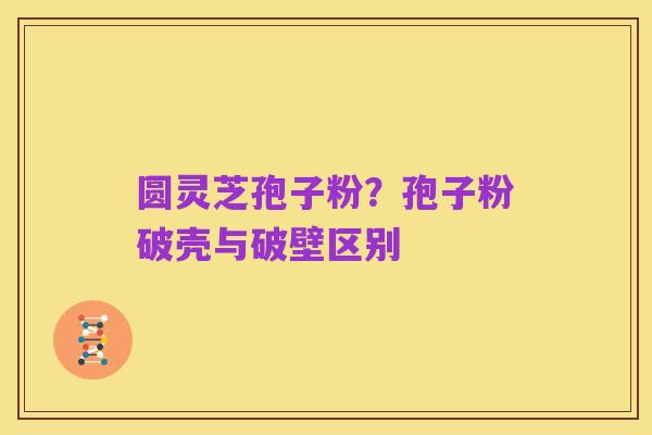 圆灵芝孢子粉？孢子粉破壳与破壁区别
