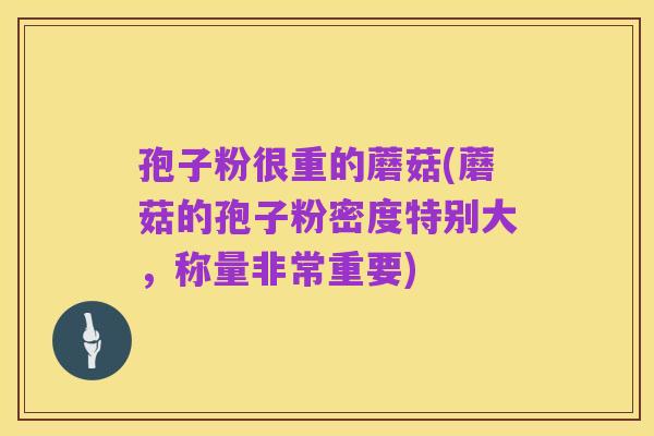 孢子粉很重的蘑菇(蘑菇的孢子粉密度特别大,称量非常重要)