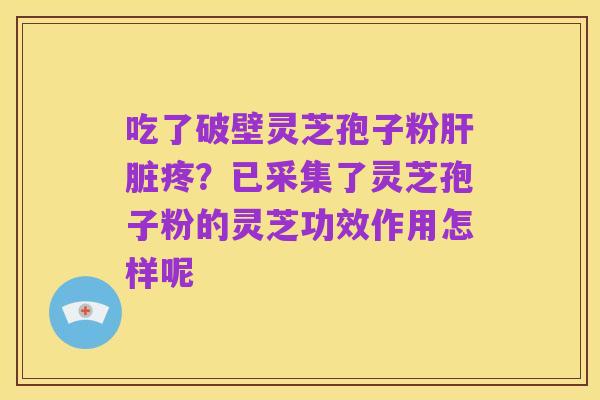 吃了破壁灵芝孢子粉肝脏疼?已采集了灵芝孢子粉的灵芝功效作用怎样呢