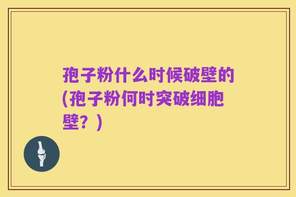 孢子粉什么时候破壁的(孢子粉何时突破细胞壁？)