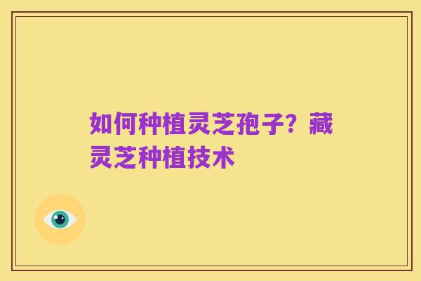 如何种植灵芝孢子？藏灵芝种植技术
