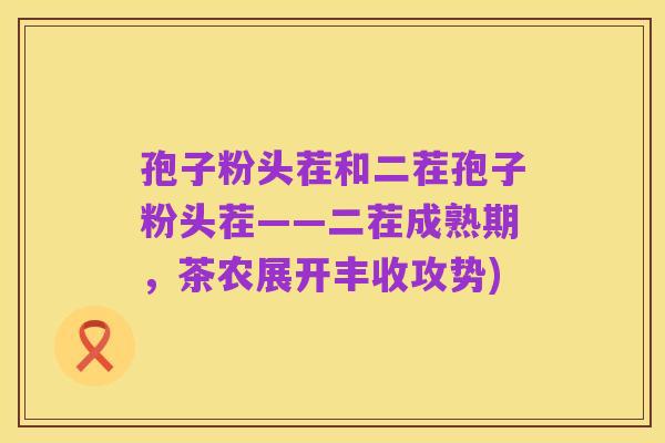 孢子粉头茬和二茬孢子粉头茬——二茬成熟期，茶农展开丰收攻势)