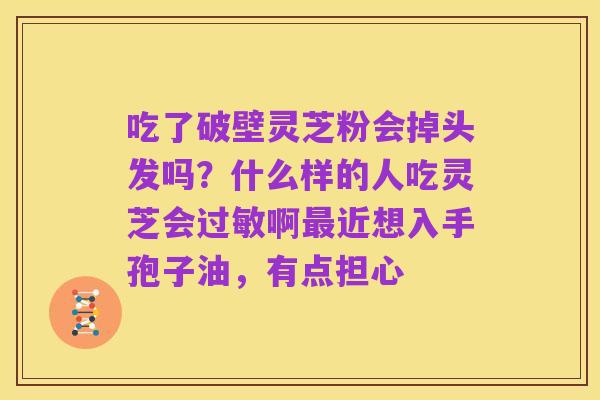 吃了破壁灵芝粉会掉头发吗？什么样的人吃灵芝会过敏啊最近想入手孢子油，有点担心