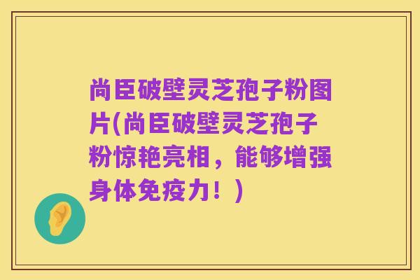 尚臣破壁灵芝孢子粉图片(尚臣破壁灵芝孢子粉惊艳亮相,能够增强身体免疫力!)