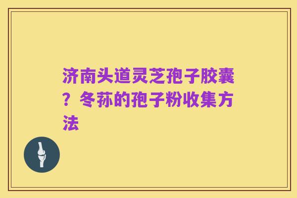 济南头道灵芝孢子胶囊？冬荪的孢子粉收集方法
