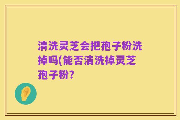 清洗灵芝会把孢子粉洗掉吗(能否清洗掉灵芝孢子粉？