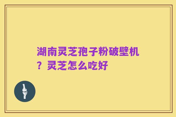 湖南灵芝孢子粉破壁机?灵芝怎么吃好