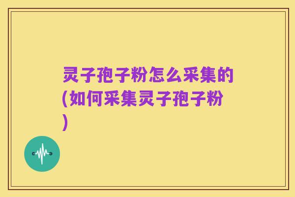 灵子孢子粉怎么采集的(如何采集灵子孢子粉)