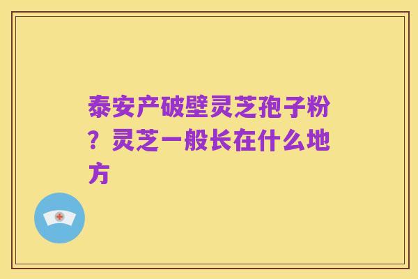 泰安产破壁灵芝孢子粉?灵芝一般长在什么地方