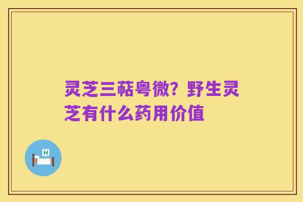 灵芝三萜粤微?野生灵芝有什么药用价值