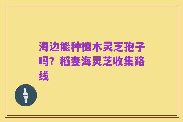 海边能种植木灵芝孢子吗？稻妻海灵芝收集路线