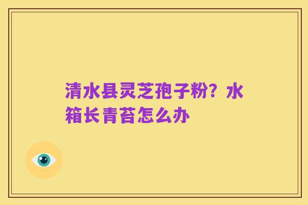 清水县灵芝孢子粉?水箱长青苔怎么办