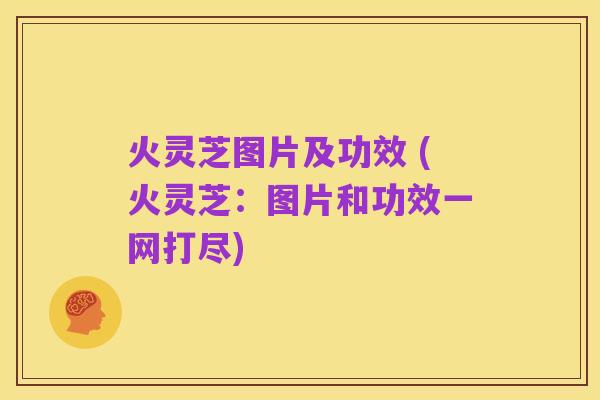 火灵芝图片及功效 (火灵芝:图片和功效一网打尽)