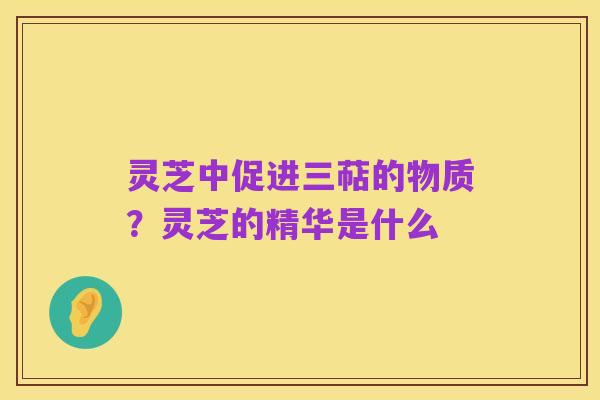 灵芝中促进三萜的物质?灵芝的精华是什么