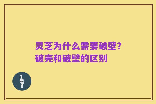 灵芝为什么需要破壁?破壳和破壁的区别