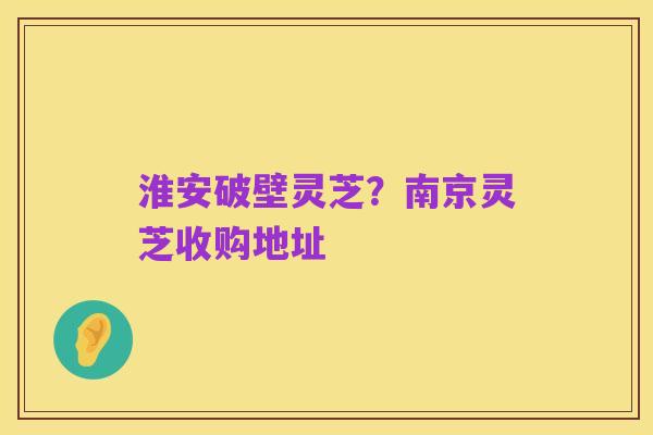 淮安破壁灵芝?南京灵芝收购地址