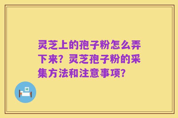 灵芝上的孢子粉怎么弄下来？灵芝孢子粉的采集方法和注意事项？
