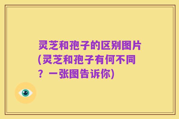 灵芝和孢子的区别图片(灵芝和孢子有何不同?一张图告诉你)