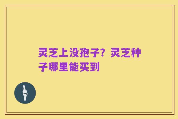 灵芝上没孢子?灵芝种子哪里能买到