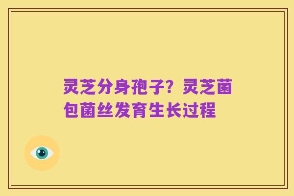 灵芝分身孢子？灵芝菌包菌丝发育生长过程