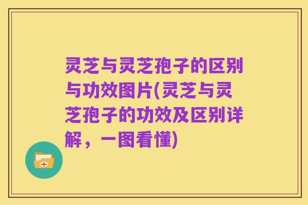 灵芝与灵芝孢子的区别与功效图片(灵芝与灵芝孢子的功效及区别详解，一图看懂)