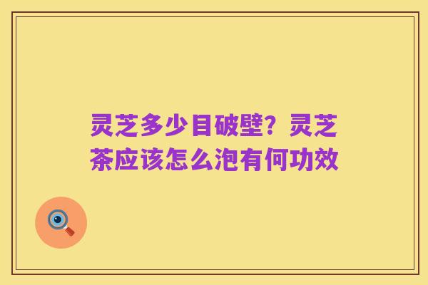 灵芝多少目破壁？灵芝茶应该怎么泡有何功效
