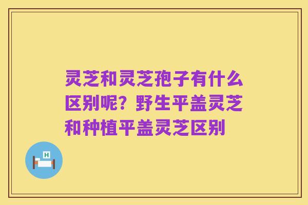 灵芝和灵芝孢子有什么区别呢?野生平盖灵芝和种植平盖灵芝区别