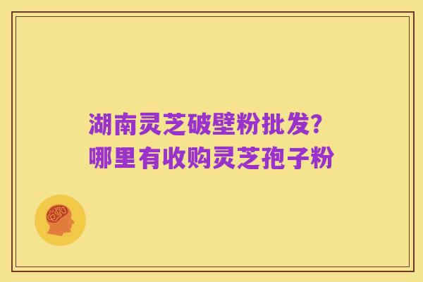 湖南灵芝破壁粉批发?哪里有收购灵芝孢子粉