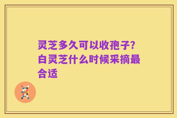 灵芝多久可以收孢子?白灵芝什么时候采摘最合适