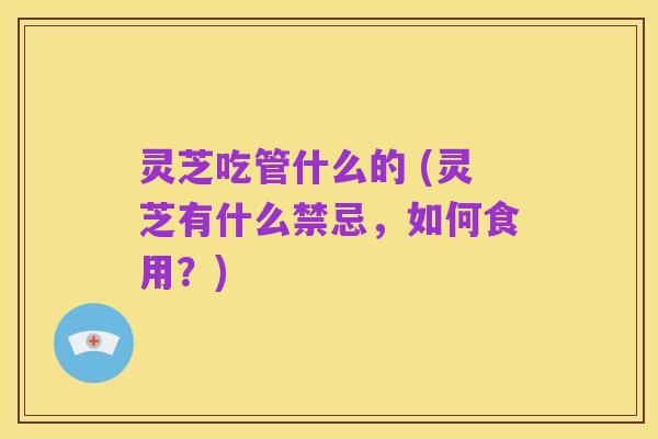 灵芝吃管什么的 (灵芝有什么禁忌，如何食用？)