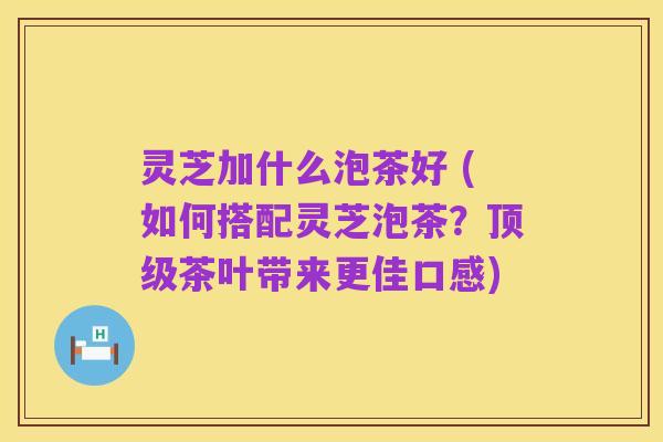 灵芝加什么泡茶好 (如何搭配灵芝泡茶?顶级茶叶带来更佳口感)