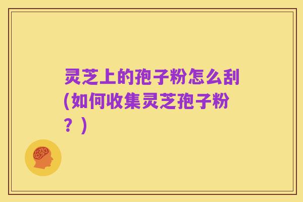 灵芝上的孢子粉怎么刮(如何收集灵芝孢子粉?)