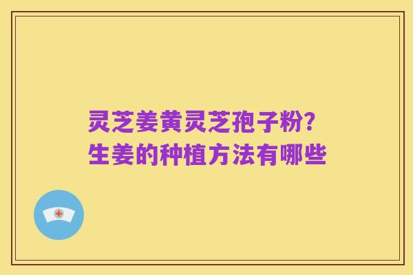 灵芝姜黄灵芝孢子粉？生姜的种植方法有哪些