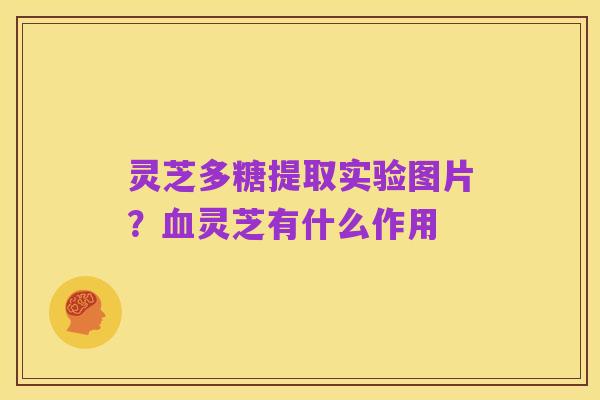 灵芝多糖提取实验图片?血灵芝有什么作用