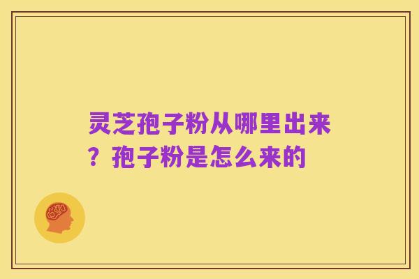 灵芝孢子粉从哪里出来?孢子粉是怎么来的