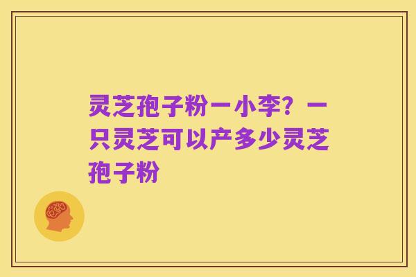 灵芝孢子粉一小李?一只灵芝可以产多少灵芝孢子粉