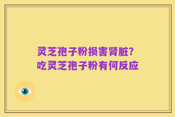 灵芝孢子粉损害肾脏?吃灵芝孢子粉有何反应