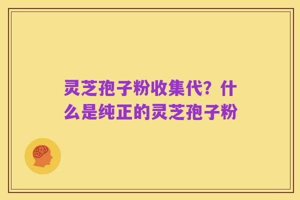 灵芝孢子粉收集代?什么是纯正的灵芝孢子粉