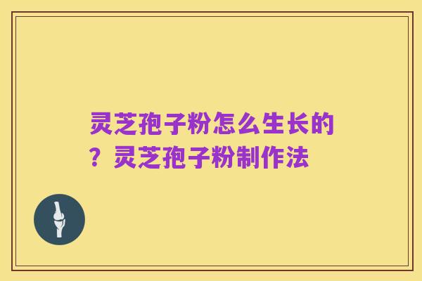 灵芝孢子粉怎么生长的？灵芝孢子粉制作法