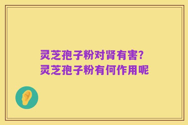 灵芝孢子粉对肾有害?灵芝孢子粉有何作用呢