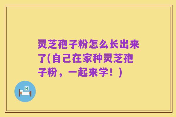 灵芝孢子粉怎么长出来了(自己在家种灵芝孢子粉,一起来学!)