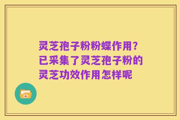 灵芝孢子粉粉蝶作用？已采集了灵芝孢子粉的灵芝功效作用怎样呢