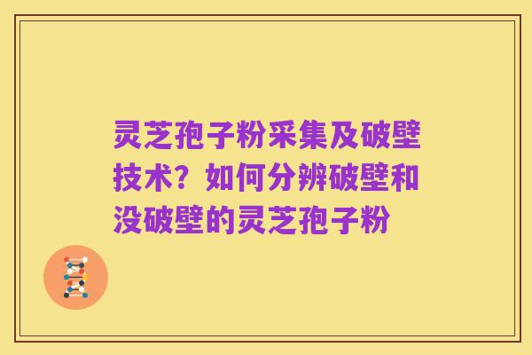 灵芝孢子粉采集及破壁技术?如何分辨破壁和没破壁的灵芝孢子粉
