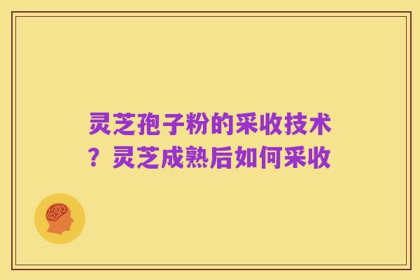 灵芝孢子粉的采收技术?灵芝成熟后如何采收