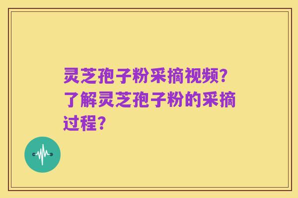 灵芝孢子粉采摘视频?了解灵芝孢子粉的采摘过程?
