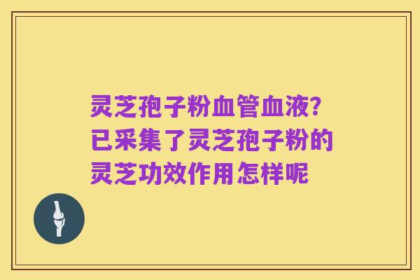 灵芝孢子粉血管血液?已采集了灵芝孢子粉的灵芝功效作用怎样呢