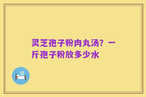灵芝孢子粉肉丸汤？一斤孢子粉放多少水