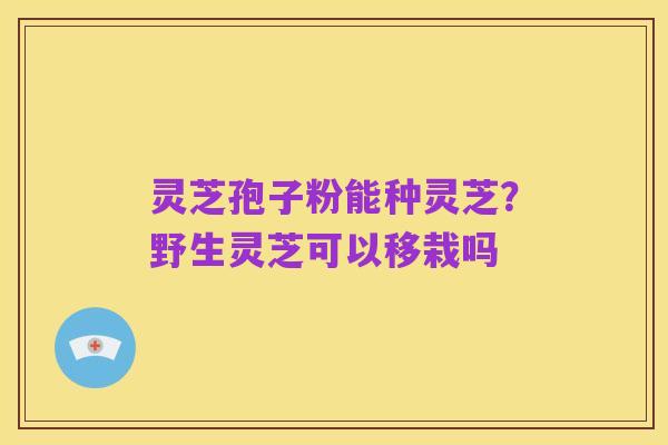 灵芝孢子粉能种灵芝?野生灵芝可以移栽吗