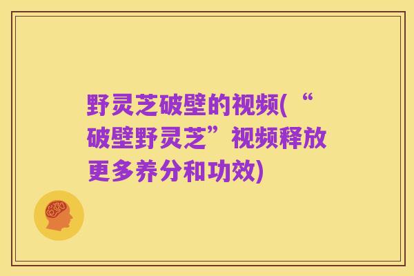 野灵芝破壁的视频(“破壁野灵芝”视频释放更多养分和功效)